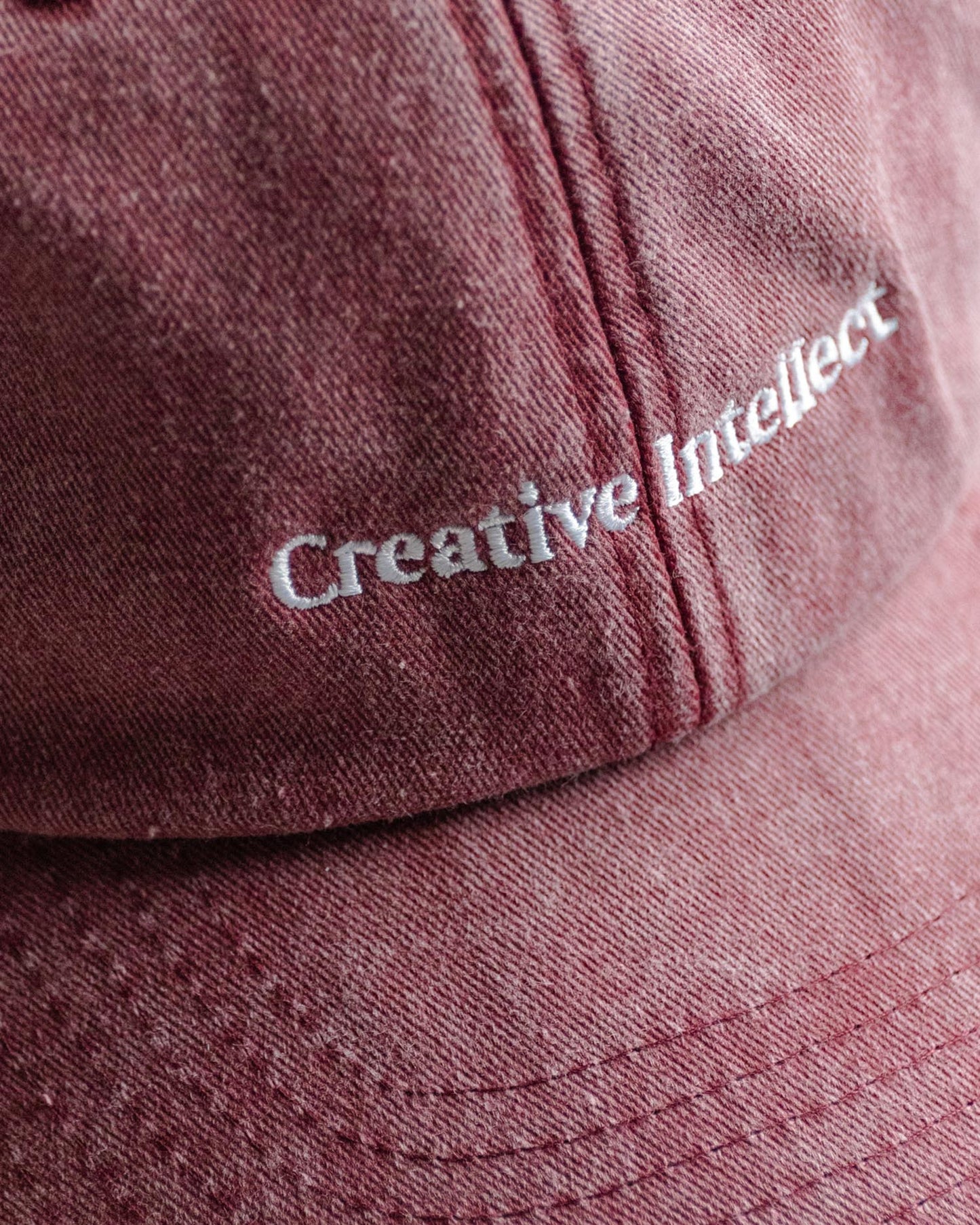 CREATIVE INTELLECT - CAP RED